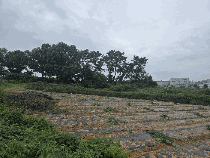 대상물건(일련번호 4) 전경