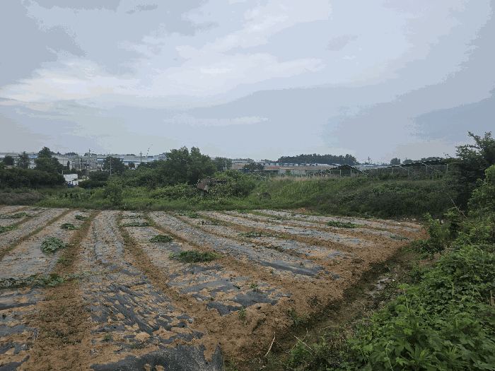 대상물건(일련번호 1) 전경