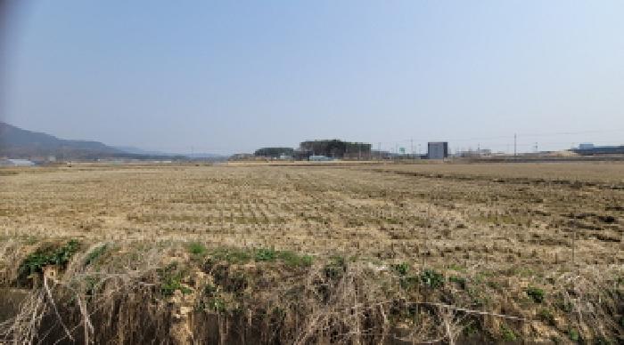 본건 기호5. 답 전경