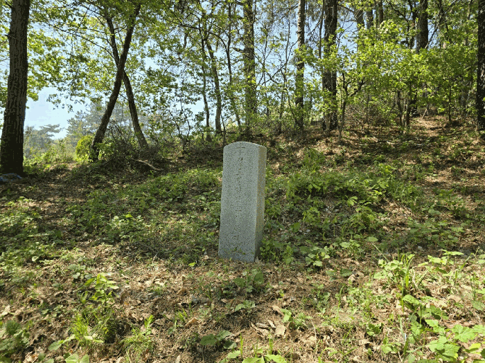 일련번호(1) 지상 제시외분묘 전경