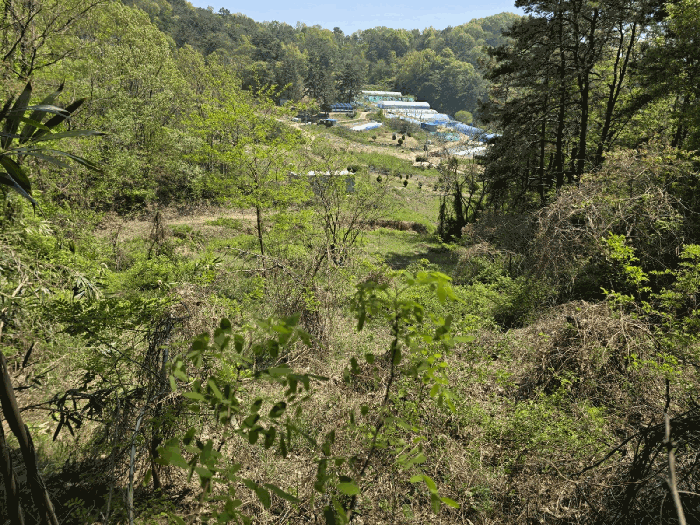 일련번호(2,3) 전경