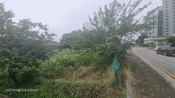 본건 기호(1)