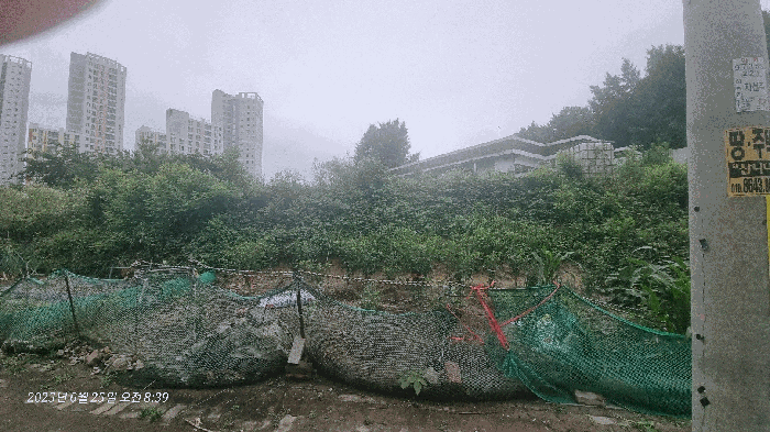 본건 기호(1)