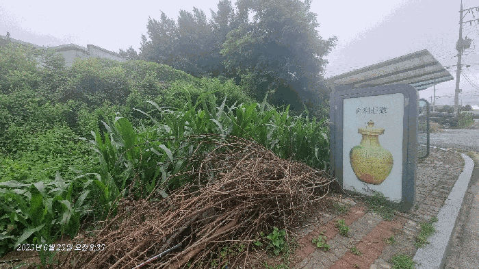 본건 기호(1)