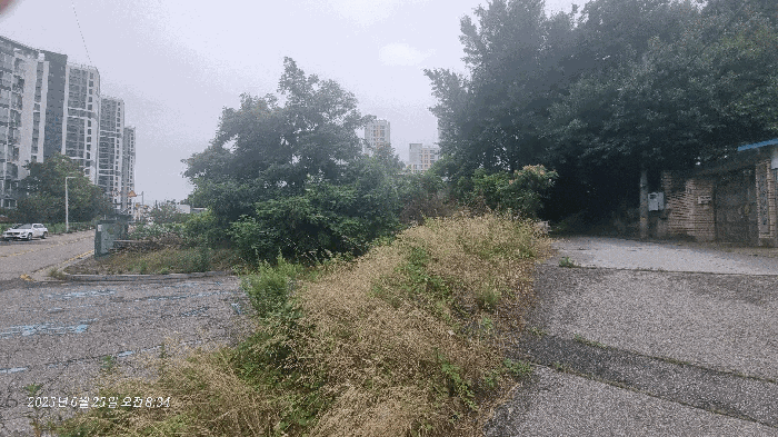 본건 기호(2)