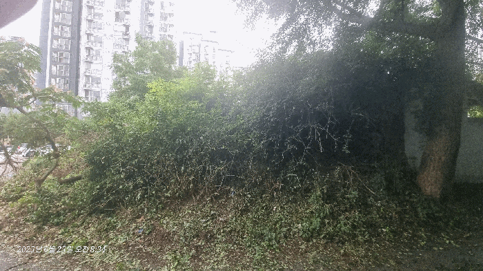 본건 기호(2)