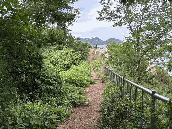 일련번호 13) 전경