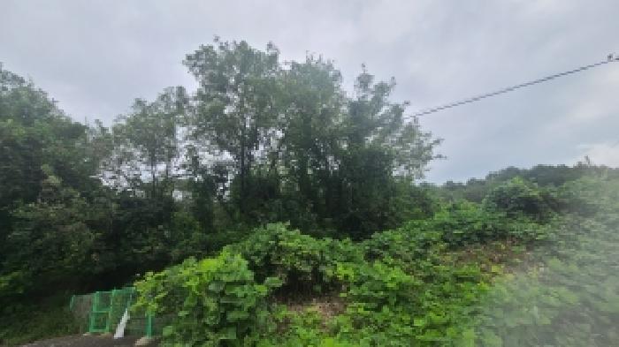 전경