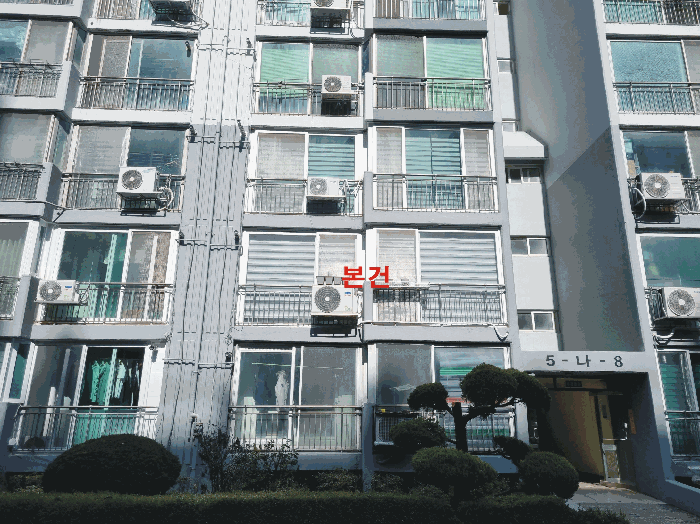 본건(나동 206호)