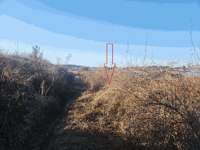 일련번호(2) 토지