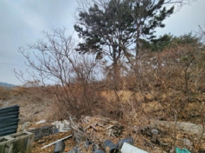 부동산표시 제5호