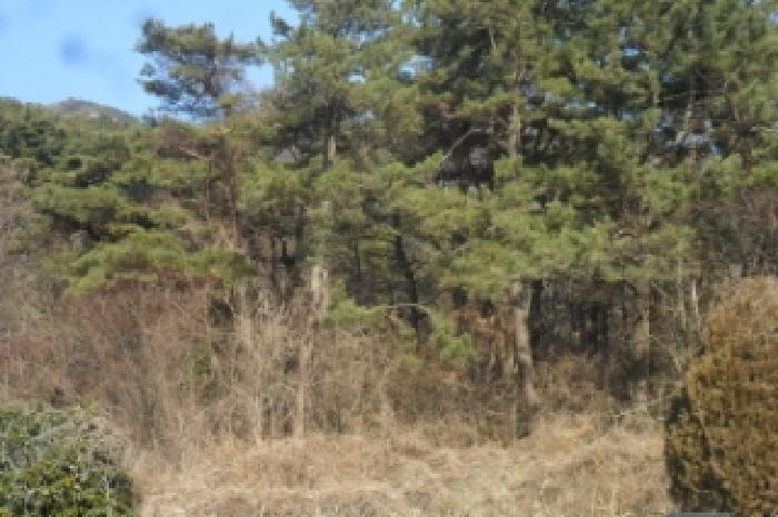 부동산표시 제1호