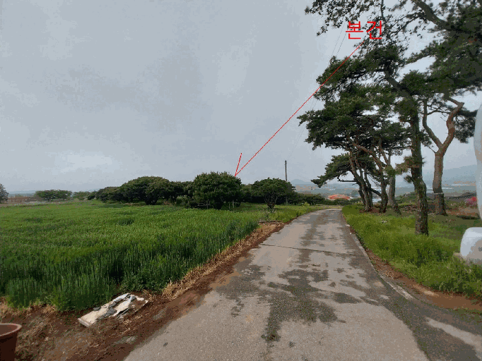 본 건 전 경
(기호 3)