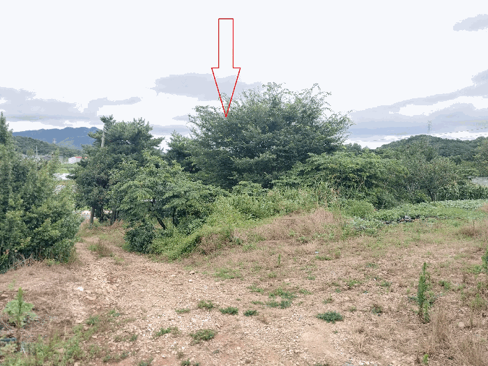 본 건 전 경