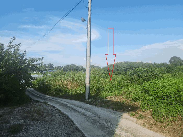 일련번호(1) 토지 전경