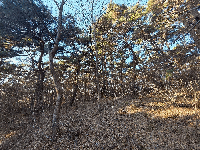 【 본 건 】