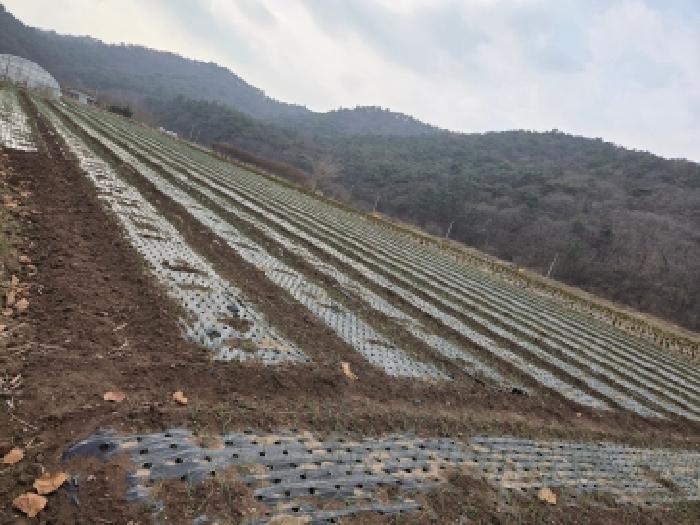 제1호 토지에 파 작물 경작중