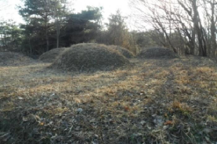 부동산표시 제5호