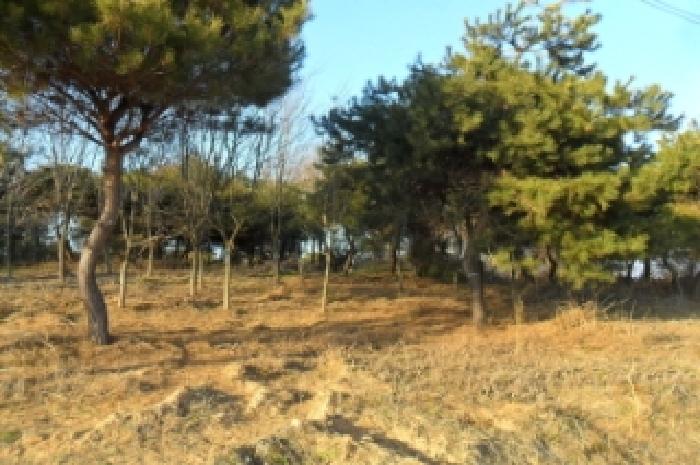 부동산표시 제3호