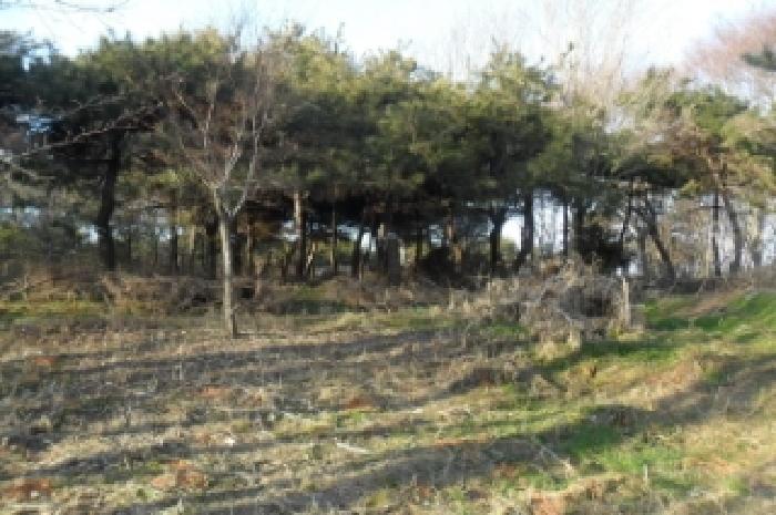 부동산표시 제3호
