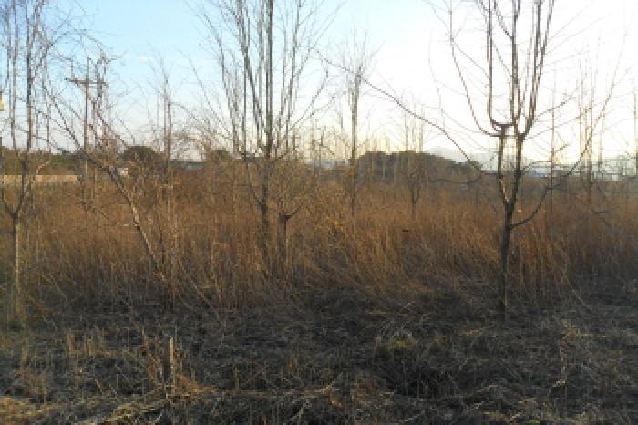 부동산표시 제12호