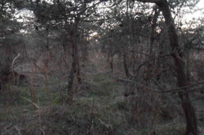 부동산표시 제13호