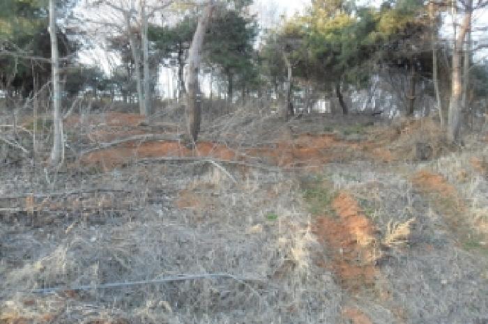 부동산표시 제10호