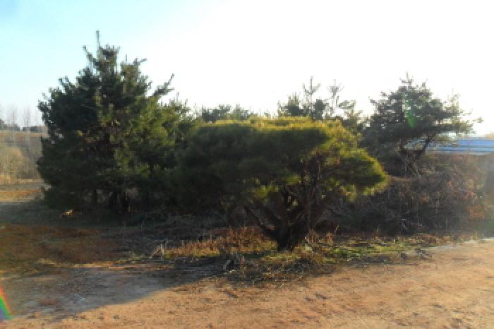 부동산표시 제7호