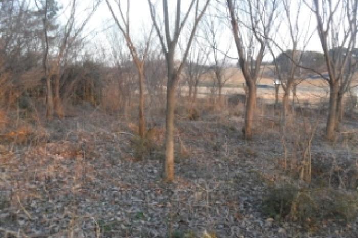 부동산표시 제15호