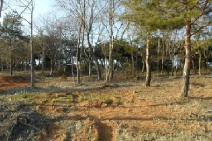 부동산표시 제4호