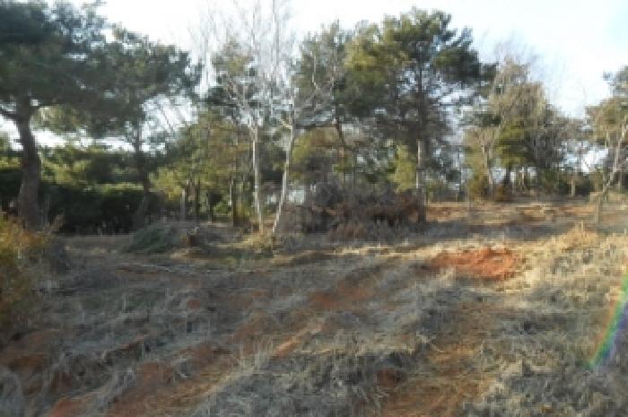 부동산표시 제4호