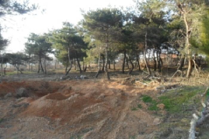 부동산표시 제4호