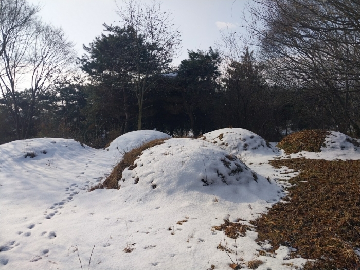 본 건 전 경(기호 5)
(제시외 분묘)