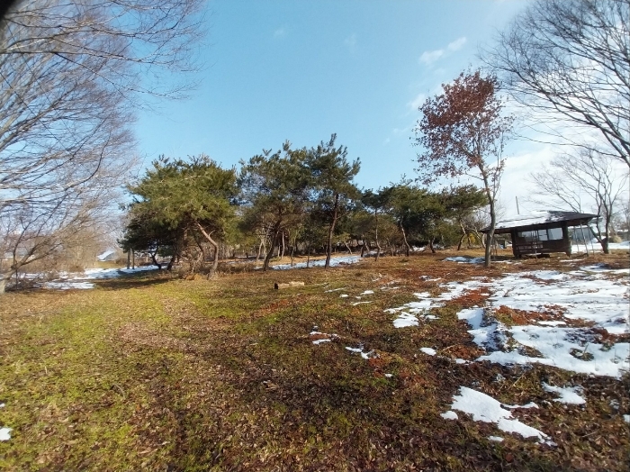 본 건 전 경(기호 1-8, 9-12,13-16)
(제시외 수목)