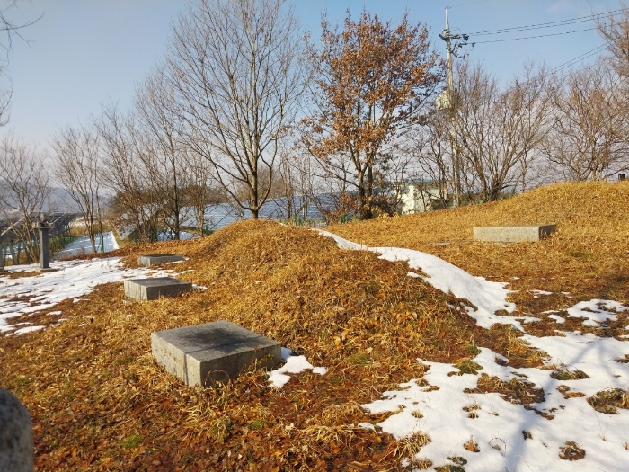 본 건 전 경(기호 16)
(제시외 분묘)