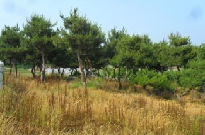부동산표시 제1호