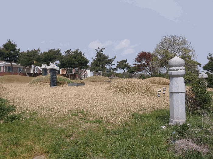 본 건 전 경
(제시외 분묘)