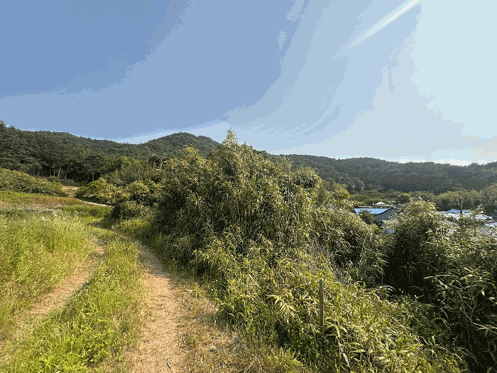 일련번호(2)