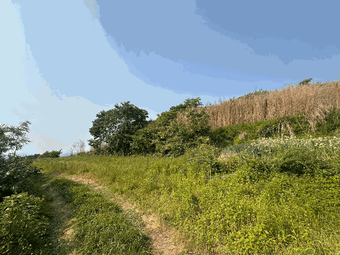 일련번호(1)