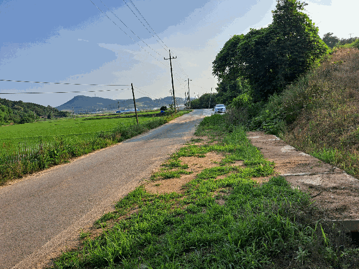 도로 상황