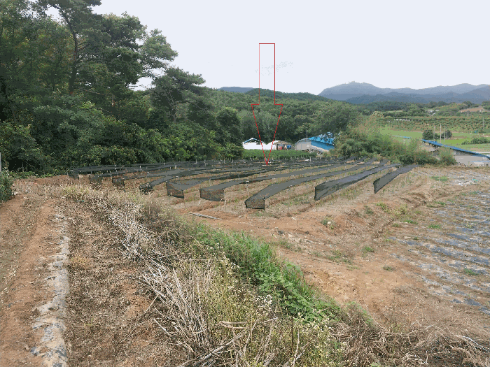 본 건 전 경
(기호 1)