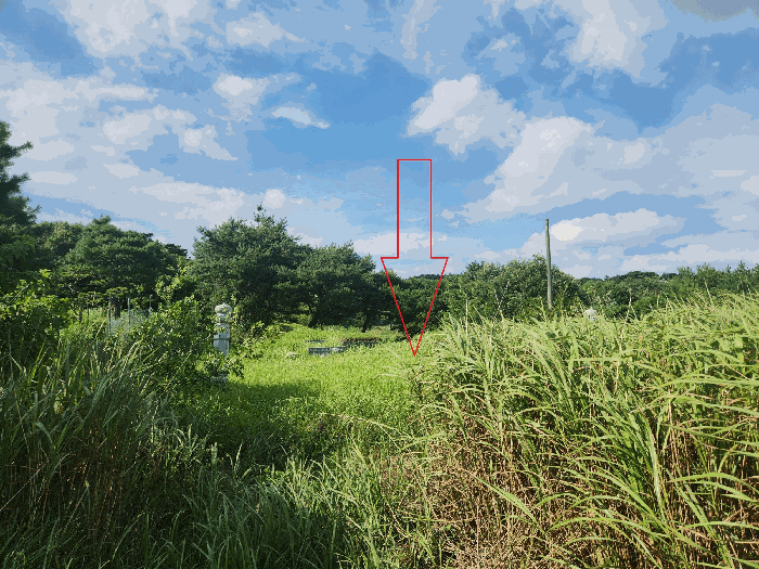 본건전경