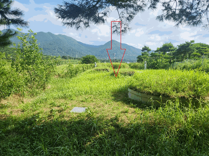 본건전경(제시외 분묘)