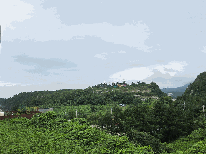 인 근 전경