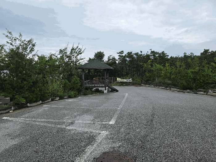 일련번호(1)