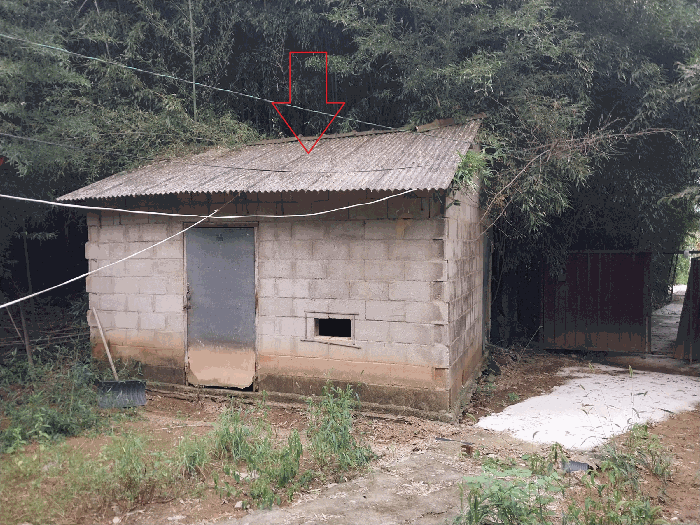 본 건 전 경
(기호 ㉢)