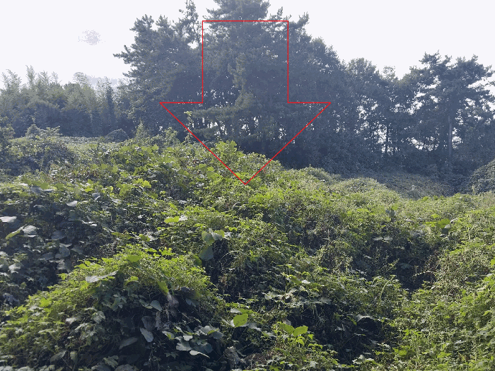 기호 2) 전경
