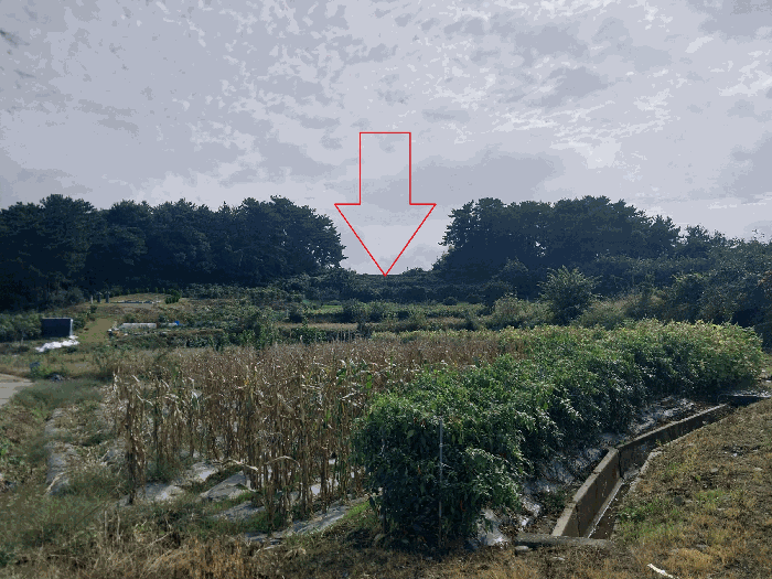 기호 2) 전경