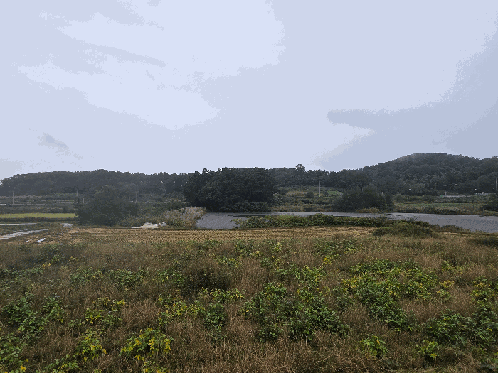 【 본 건 인근 전경 】