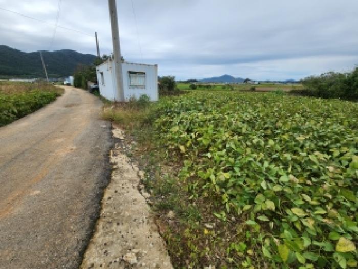 부동산표시 제1호 : 일부도로